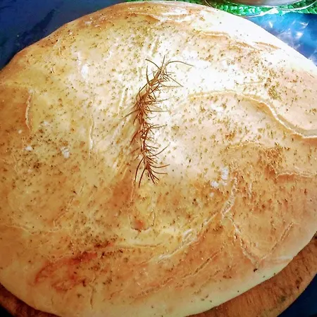 Apartamento Sofia's Way *