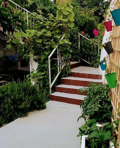 Sofia's Way Lägenhet