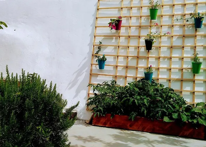 Lägenhet Sofia's Way