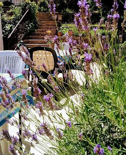 Lägenhet Sofia's Way Jelsa (Hvar)