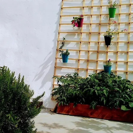 Apartment Sofia's Way